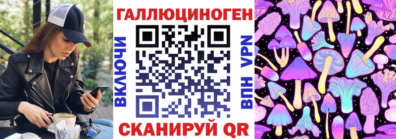 ОМГ ОМГ tor  купить наркоту  Хасавюрт  Галлюциногенные грибы Cubensis 